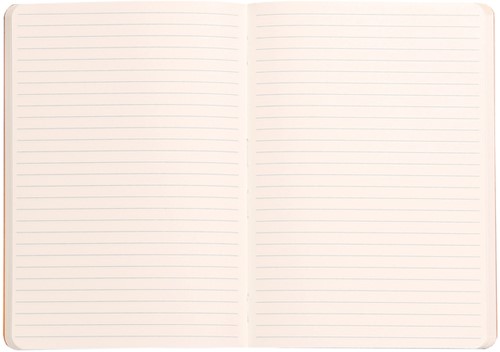 Notitieboek Rhodia A5 lijn 80 vel 90gr nachtblauw-2