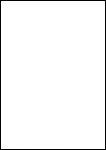 Etiket Avery 6119 210x297mm A4 wit 25 stuks-3
